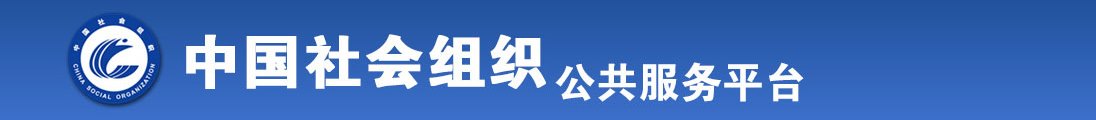 啊啊啊操我啊全国社会组织信息查询